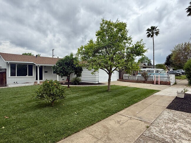 Foto del edificio - Updated 3 Bedroom 1 Bath West San Jose Gem! Campbell Union Schools!