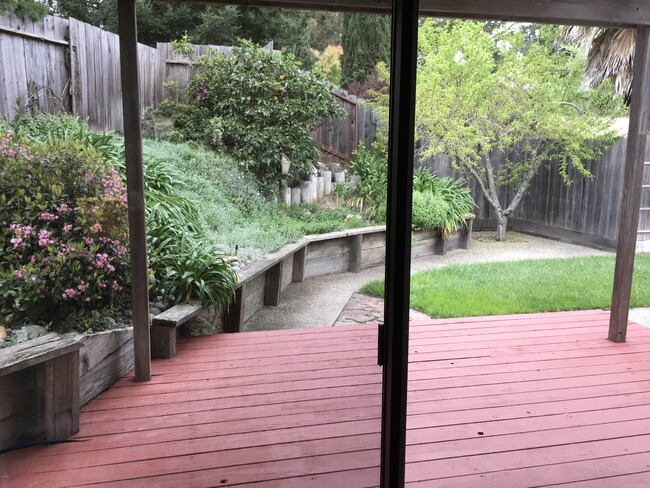 Shared backyard - 2529 Holly View Dr
