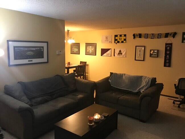 Living Room - 3620 Independence Ave S