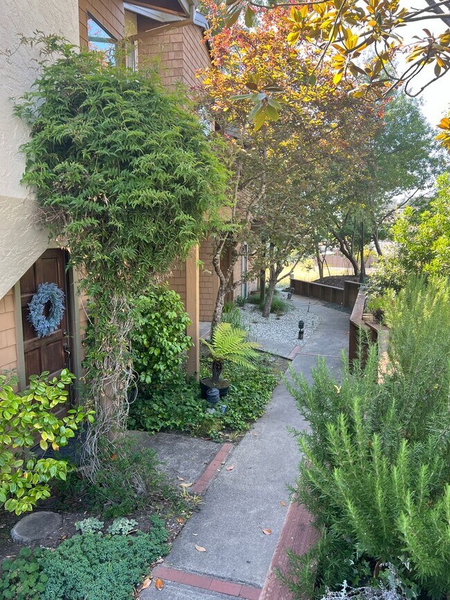 Building Photo - Sunny Soquel Townhouse - One mile to New B...