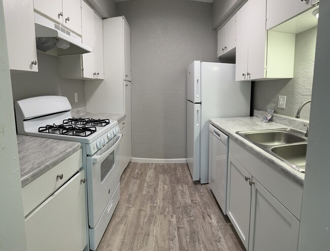 kitchen with gas stove, dishwasher, disposal & fridge - Country Club View Apartments