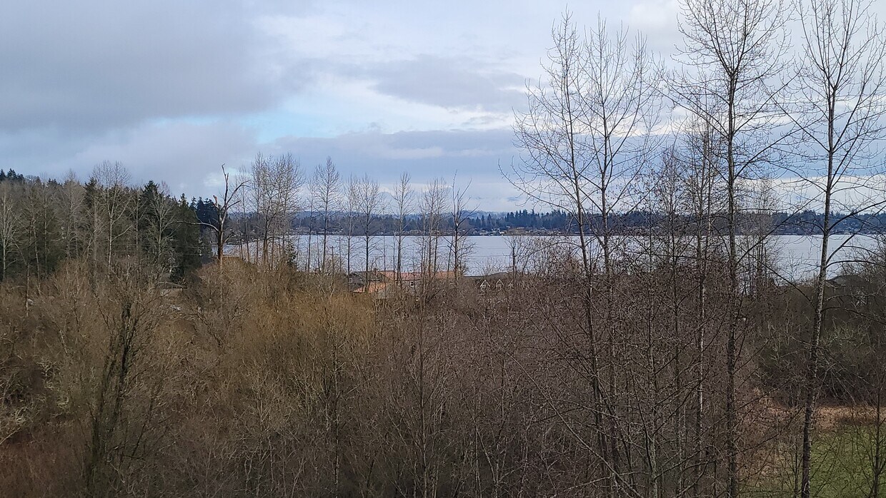 View from Deck of #413 - 2401 Lake Dr