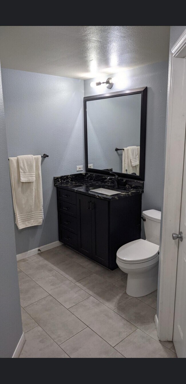 Bathroom Sink - 2320 Gracy Farms Ln