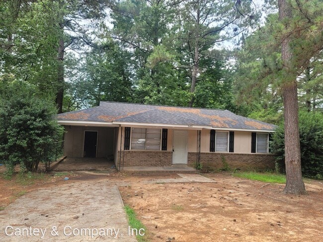 Building Photo - 3 br, 1 bath House - 2425 Pelican Drive