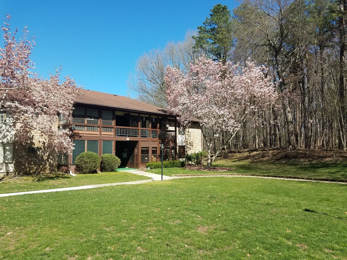 Foto principal - 105 Amberly Dr