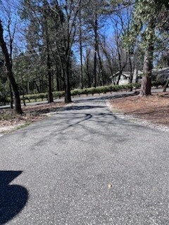 Foto del edificio - 12437 Silk Tassle Cir