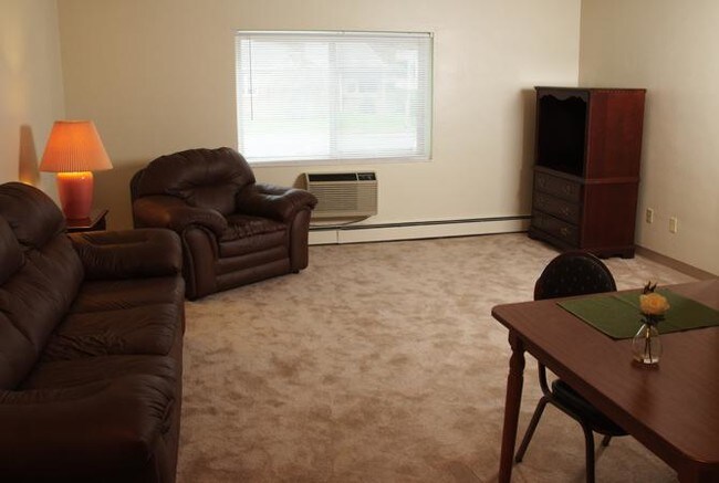 Mt Nittany Apartments State College Pa