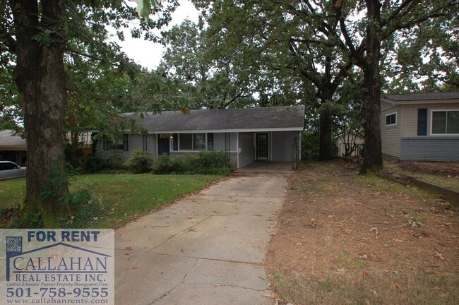 Building Photo - NLR 2 Bedroom Home