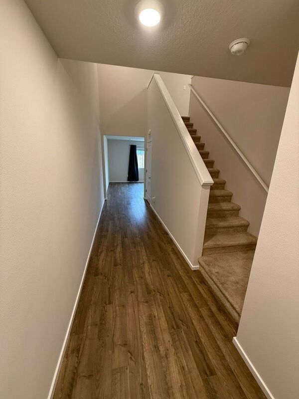 Building Photo - 4816 Apollo Ave