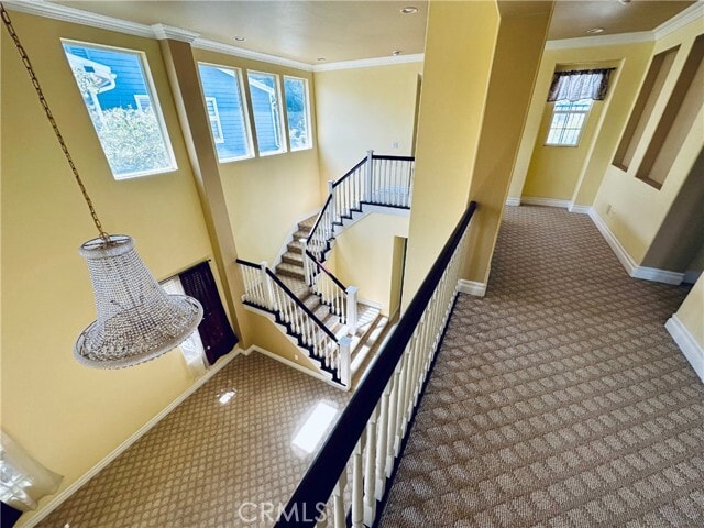 Building Photo - 2060 Nelson Ct