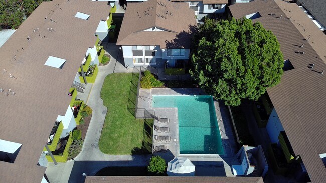 Piscina junto a los helechos - Faircrest Apartments
