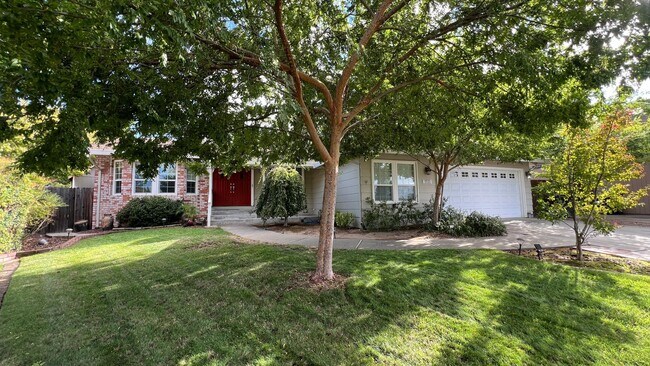 Foto del edificio - Spacious East Roseville 3bd/2ba with Bonus...