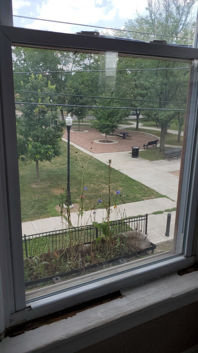 Vista del parque Blackburn desde la cocina, el piso superior y el ático. - 241 Benton St