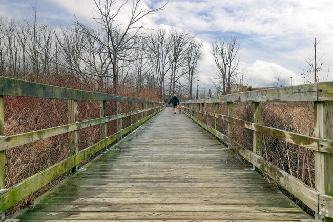 Friendly pups meet each other on the bridge at Brunswick Lake.