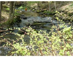 Brook on the property - 114 Grissino Ln