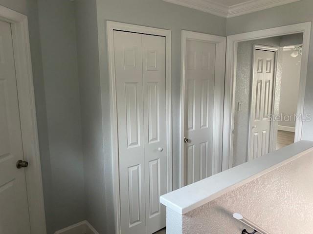 Foto del edificio - 131 Aunt Polly Ct