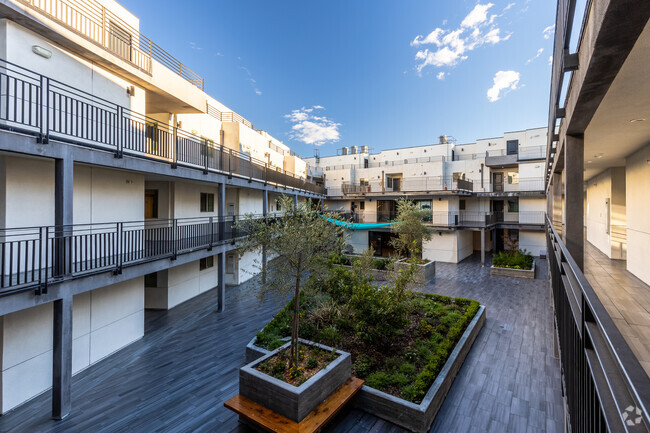 Courtyard - Noho Urban Apartments