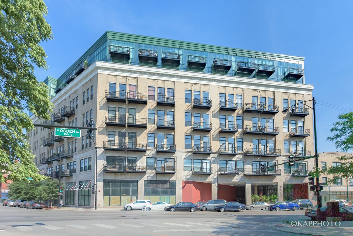 Primary Photo - 1645 W Ogden Ave