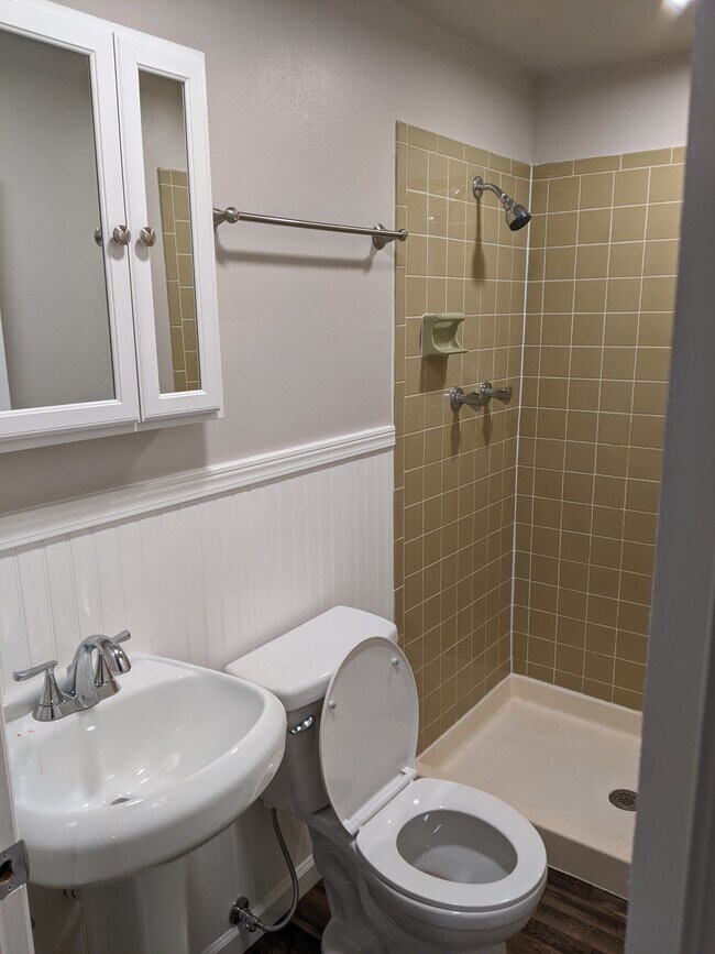 Downstairs bathroom - 3597 Golden Meadows Ct