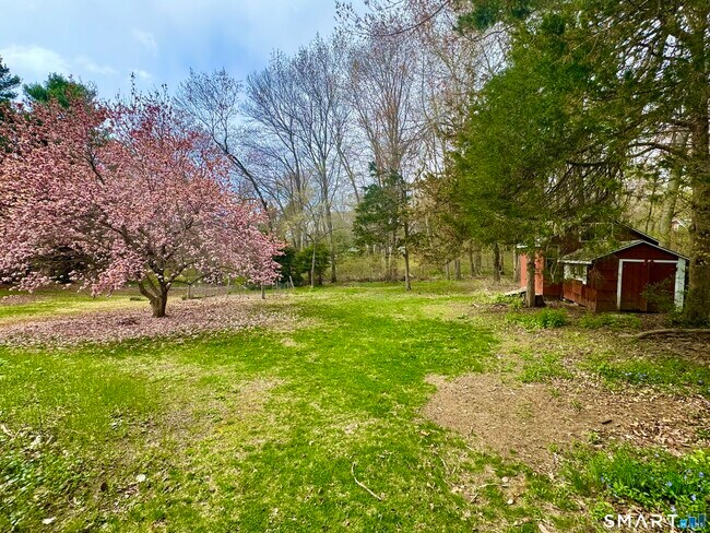 Foto del edificio - 14 Bower Rd