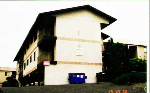 Building Photo - The Olive Branch
