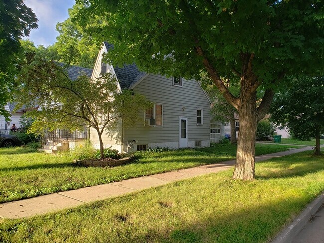 big dog apartments for rent