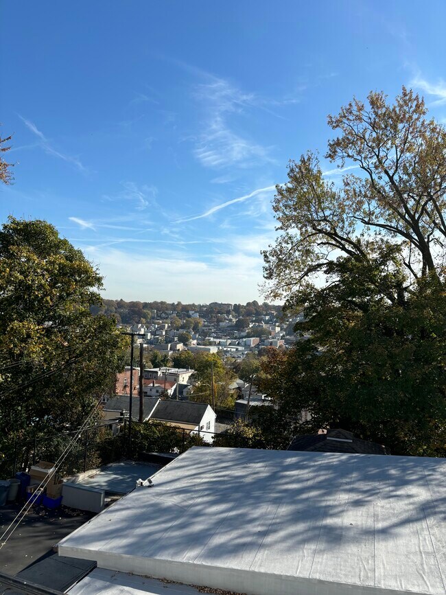 View from your back patio - 240 Sommerville Pl