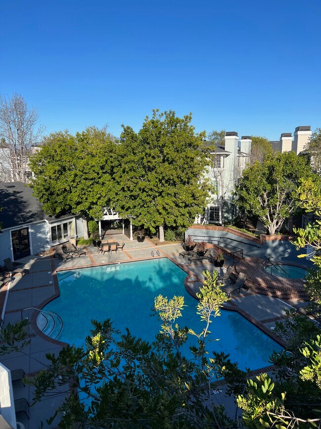 Vista desde el patio - 23412 Pacific Park Dr