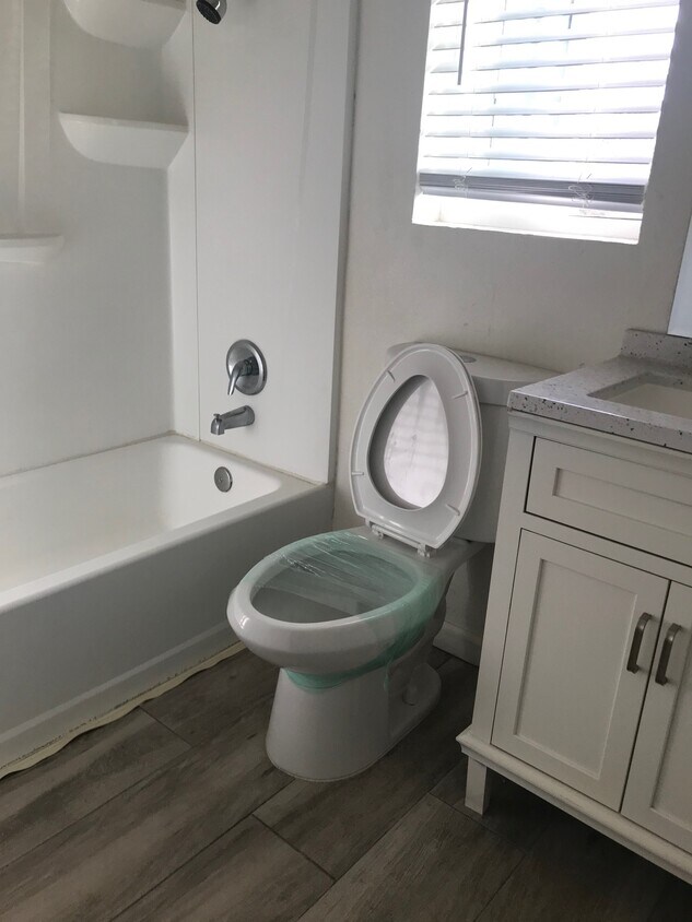 new toilets - 1231 Isleton Pl