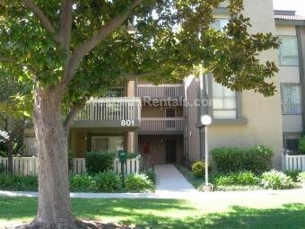 Primary Photo - 801 Pinetree Cir