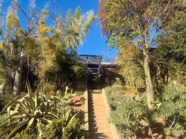 Foto del edificio - Hilltop Highland Park Sanctuary with Views, Private Gated Yard, In Unit Laundry, Parking & Abunda...