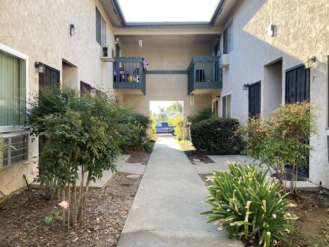 Building Photo - Olive Tree Apartments