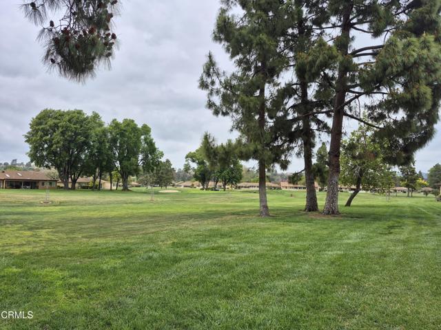 Primary Photo - 17105 Village 17