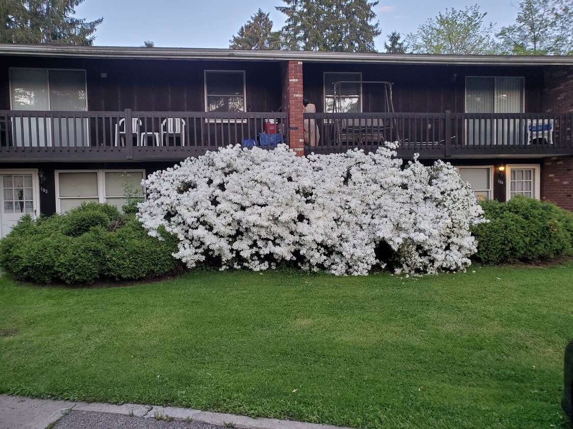 103 Kirtley Strasse Unit 103, Wellsburg, WV 26070 103 Kirtley Strasse