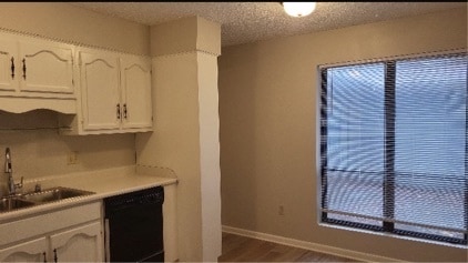 Foto del edificio - 146 Summerview Dr