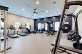 Located at 650 N Sgt Ed Holcomb Blvd in Conroe, TX, this fitness center offers a comprehensive exercise environment designed to support a wide range of workout routines. The single-floor space is finished with durable speckled flooring and features a striking navy blue accent wall that anchors the room's modern aesthetic, contrasted by crisp white walls on the remaining sides.

Recessed lighting and a large ceiling fan ensure the space remains well-lit and comfortable during workouts. Multiple windows allow natural light to filter in, contributing to an open and energizing atmosphere.

The cardio zone is well-appointed with multiple treadmills, an elliptical, and a stair climber, all positioned along the windowed wall. A wall-mounted flat-screen television provides entertainment during cardio sessions. A dedicated alcove off the main floor houses cycling bikes and additional cardio equipment, offering a more private workout setting.

The strength training area includes a multi-station cable machine, a power rack with a bench, a full dumbbell rack with a wide weight range, and adjustable benches. Wall-mounted mirrors throughout the strength zone allow users to monitor their form. Accessories such as kettlebells, resistance bands, and medicine balls round out the available equipment, making this a thoroughly outfitted facility for fitness enthusiasts of all levels.