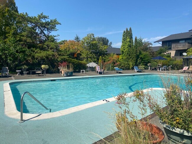 Building Photo - Ground floor Oasis -  1BD/1.5BA