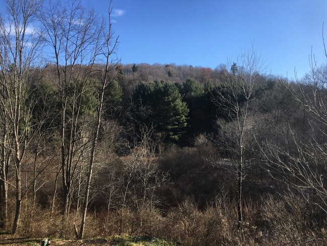 vista - 543 Mountain Run Rd