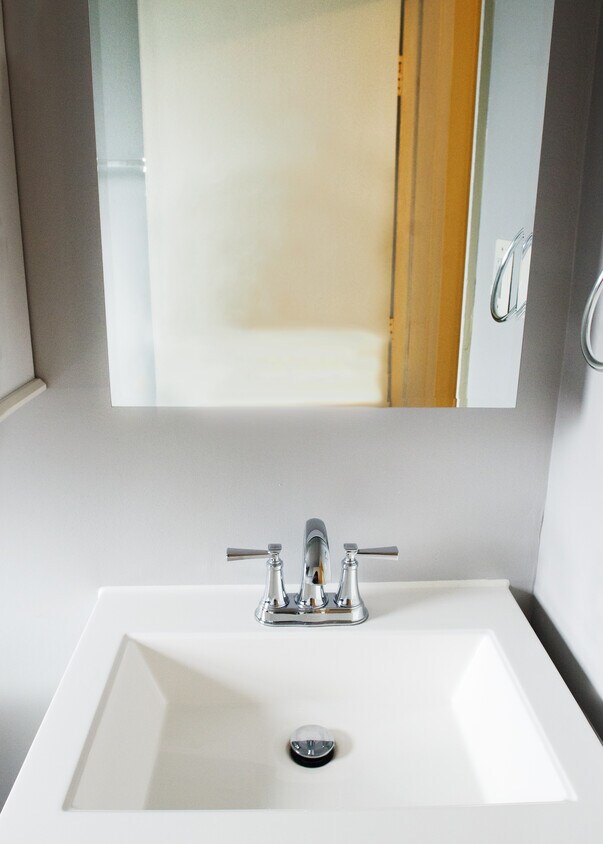 Lavabo del baño - 3332 Coolidge Hwy