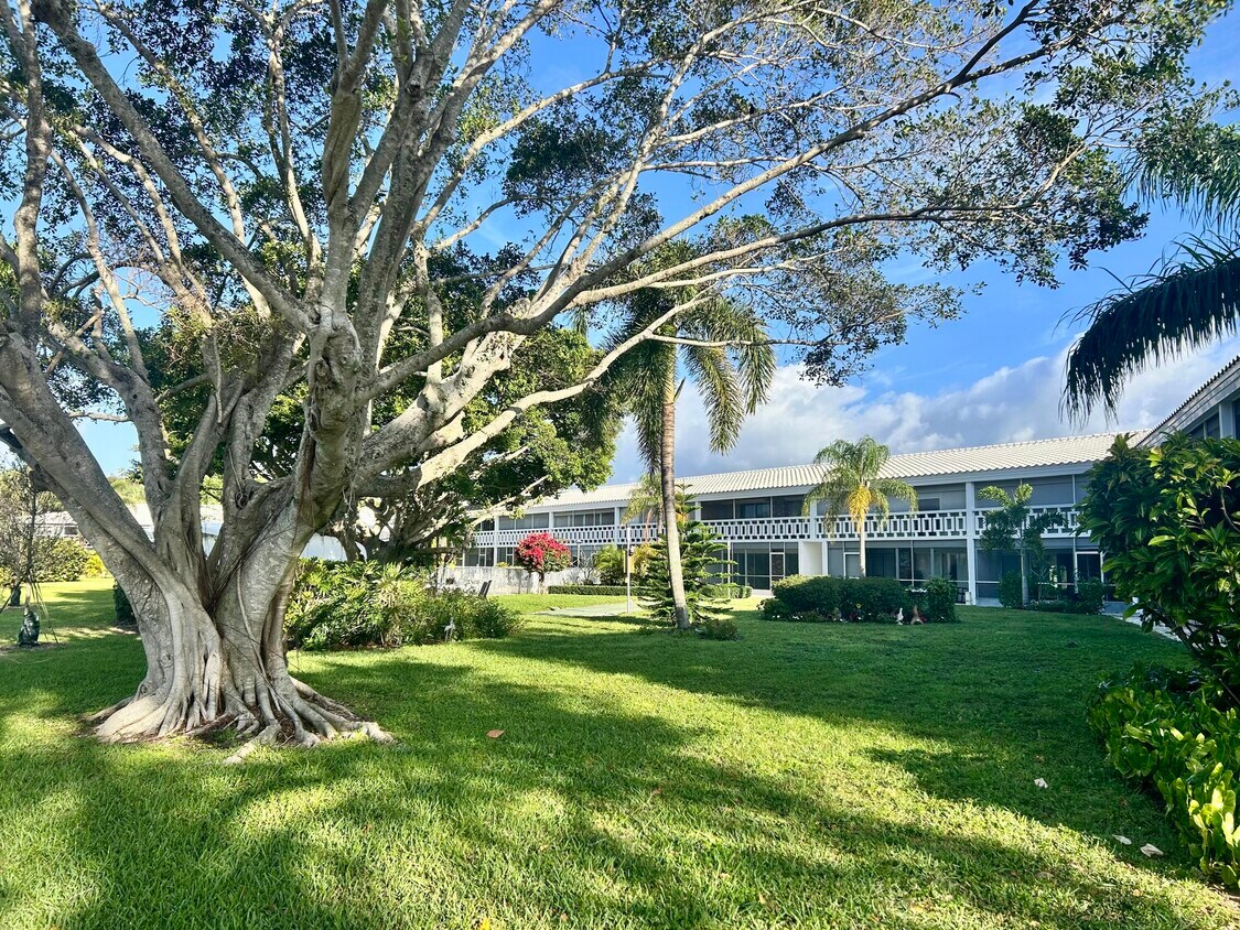 Foto principal - 331 Tequesta Dr