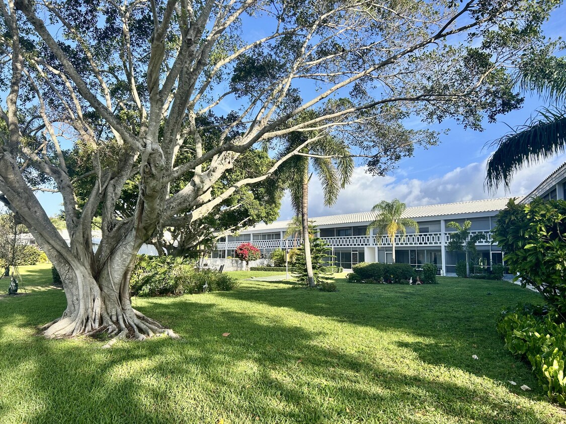 Primary Photo - 331 Tequesta Dr