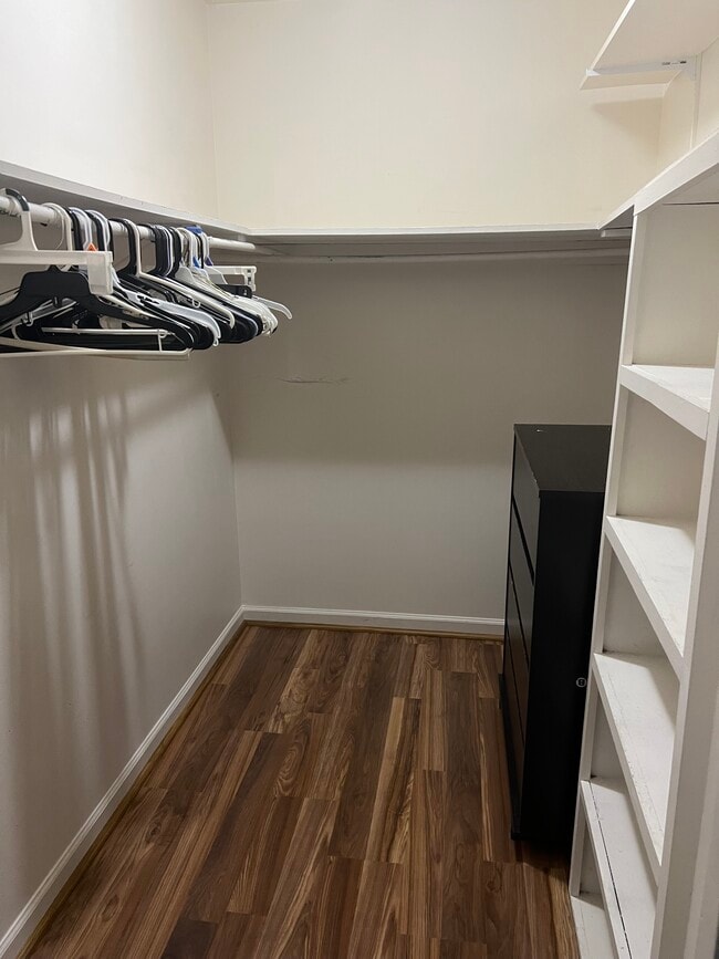 Primary walk-in closet - 11407 Deham Dr