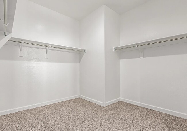 Walk-in Closet - 1707 W Stanton Ave