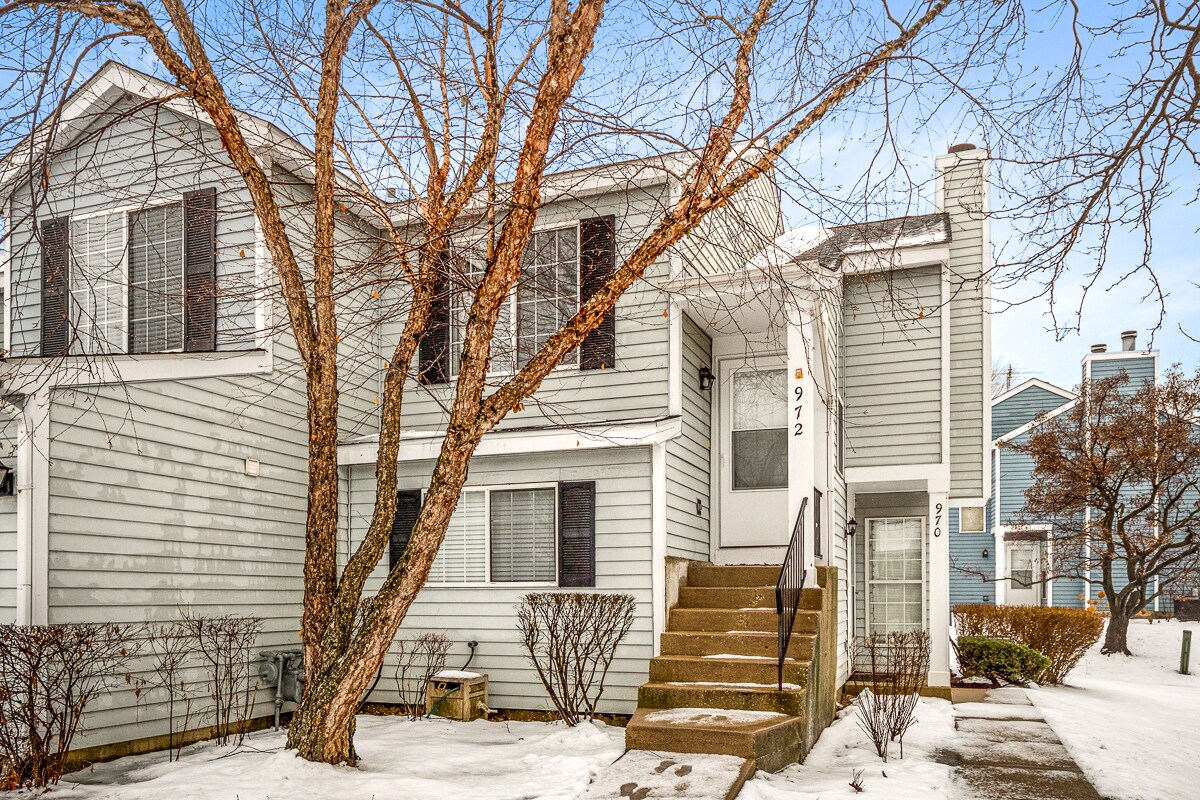 972 Mallard Cir Unit 2, Schaumburg, IL 60193 Condo for Rent in