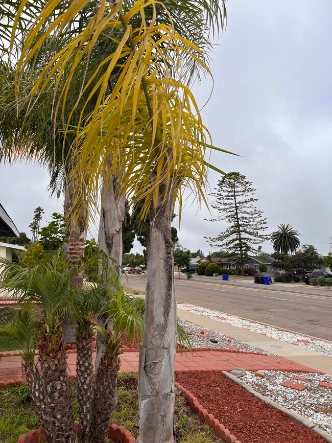 Foto del edificio - 2975 Governor Dr