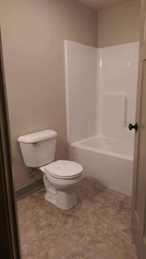 Basement master bedroom full bath shower. - 3810 Marigold Drive