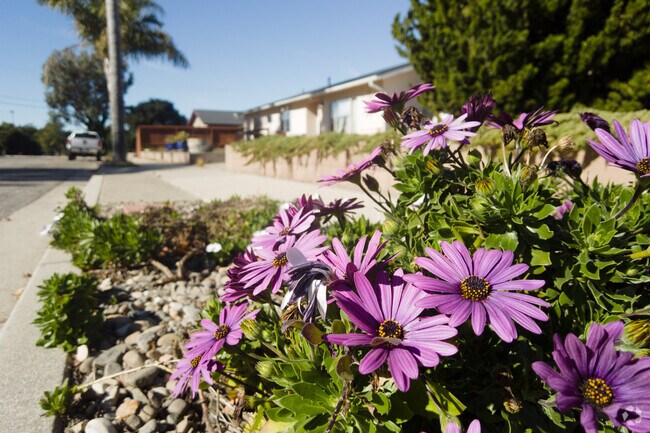 There are many yards with gardens in Lompoc.