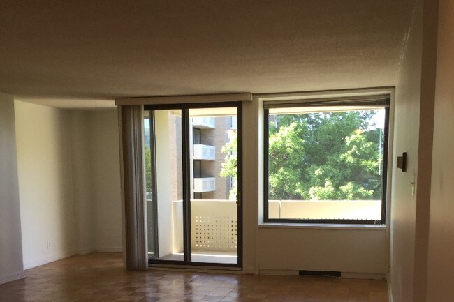 another LV view - 1245 4th St SW
