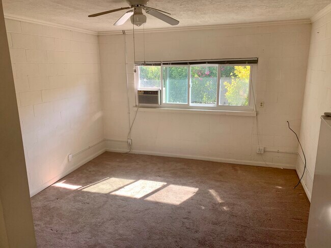 Living room - 221 Wootten Dr
