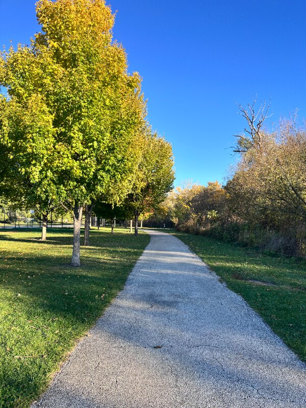 Foto del edificio - 3623 W Foster Ave